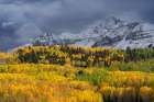 USA-Colorado-Uncompahgre National Forest Storm clouds above Wilson Peak and autumn aspen forest Art Print